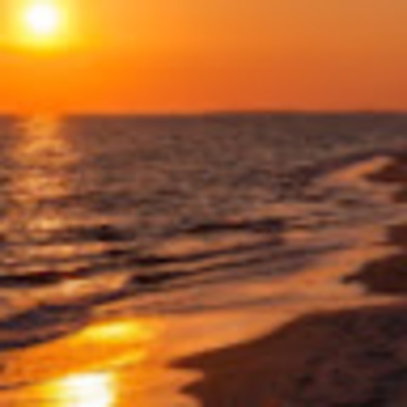 Meet your Posher, Erica - Picture 1 of 1